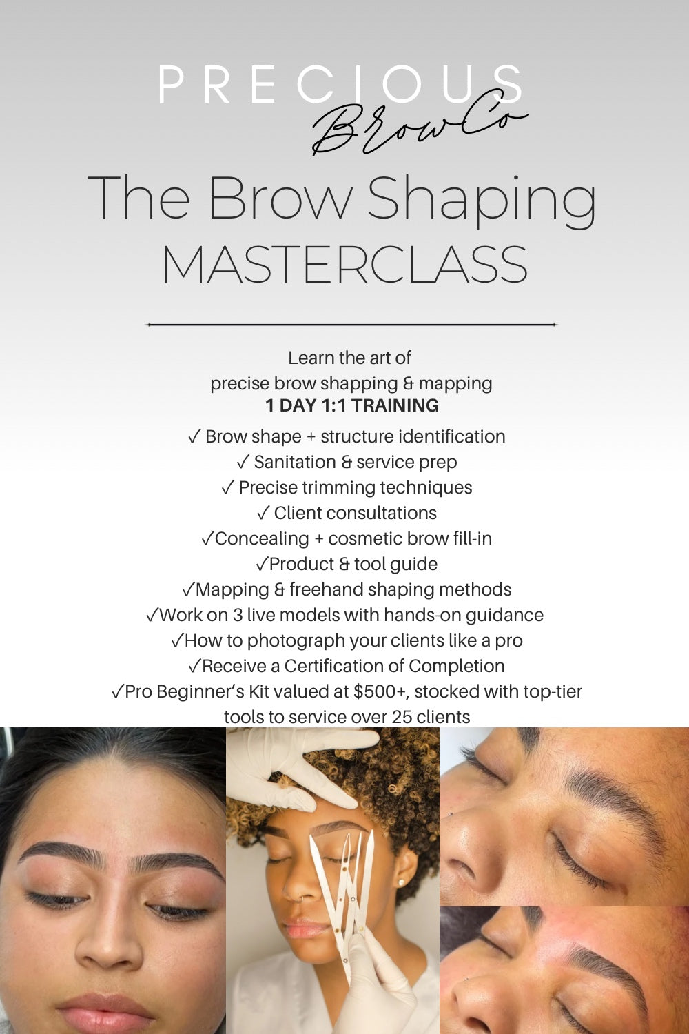 1 Day 1:1 Brow Shaping Masterclass